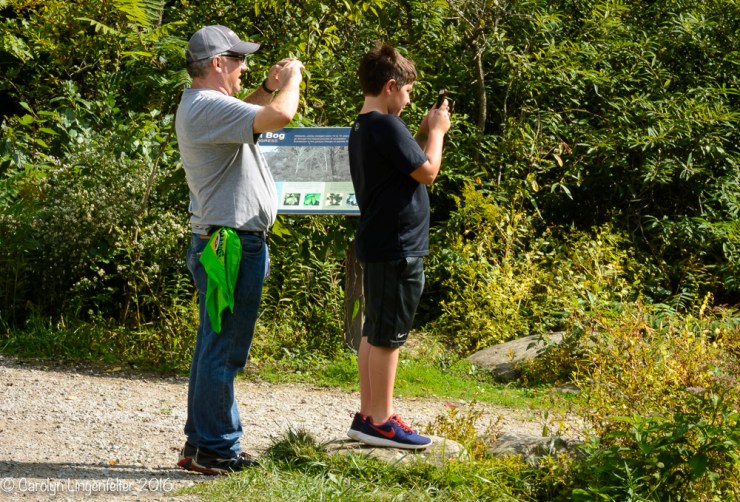 2016_10_03_holden-arboretum_055