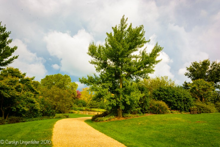 2016_10_03_holden-arboretum_060