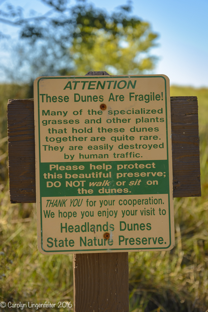 2016_10_07_headlands-_011