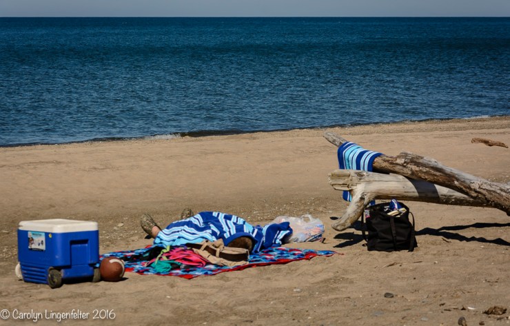 2016_10_07_headlands-_057