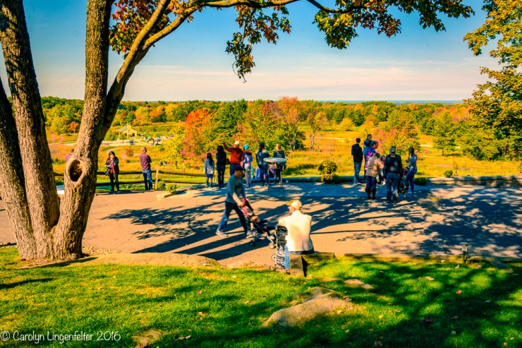 2016_10_15_miscellaneous-photoshoots_042-edit