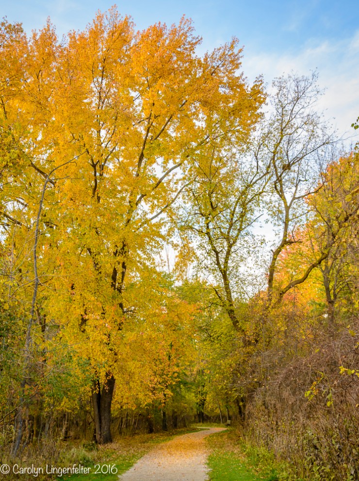2016_11_02_places_chagrin-river-park_0008