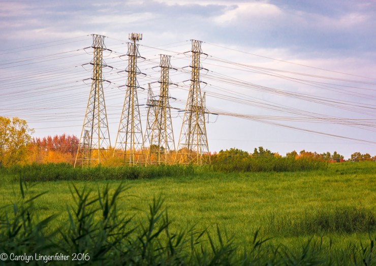 2016_11_02_places_chagrin-river-park_0042