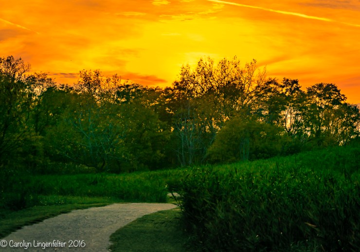 2016_11_02_places_chagrin-river-park_0047