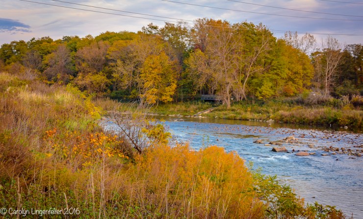 2016_11_02_places_chagrin-river-park_0063
