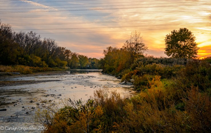 2016_11_02_places_chagrin-river-park_0064