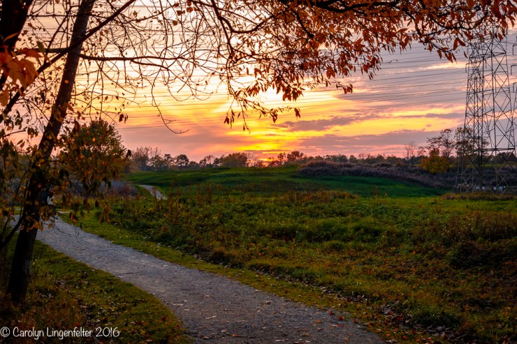 2016_11_02_places_chagrin-river-park_0068