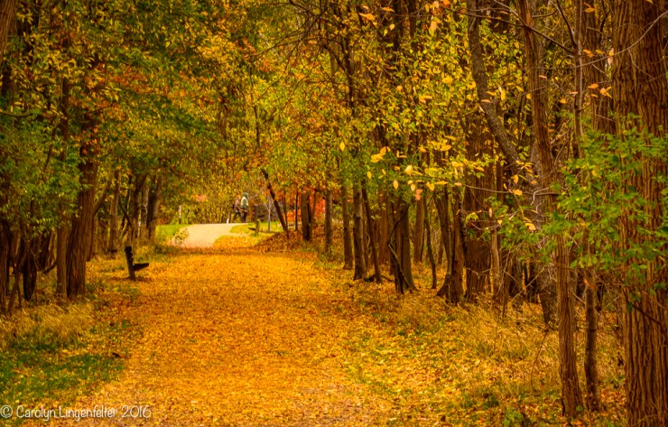 2016_11_09_places_chagrin-river-park_0002