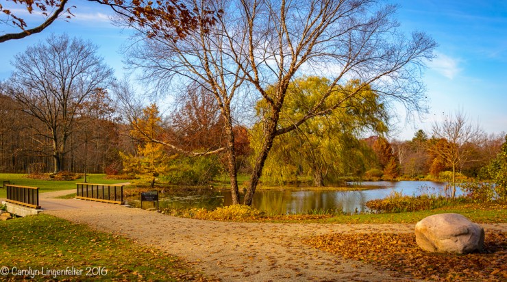 2016_11_17_places_holden-arboretum_0166-edit