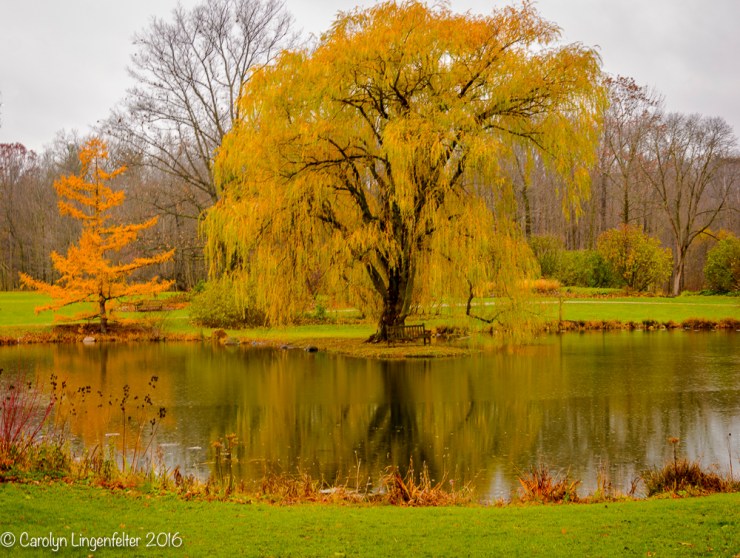 2016_11_25_places_holden-arboretum_0011-edit