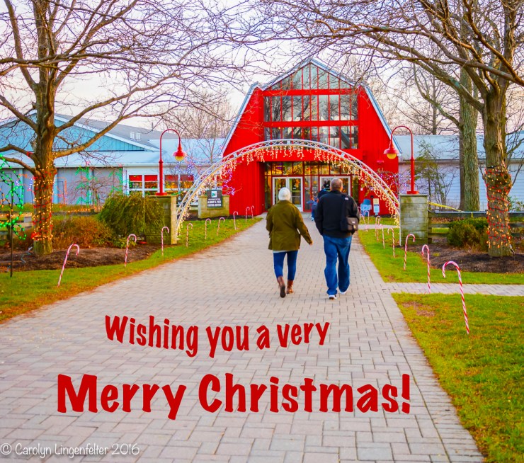 2016_11_27_places_farmpark_0176-edit