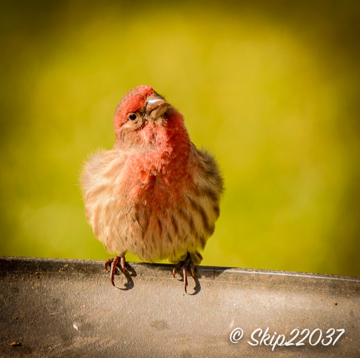 2016_11_12_places_chagrin-river-park_0007