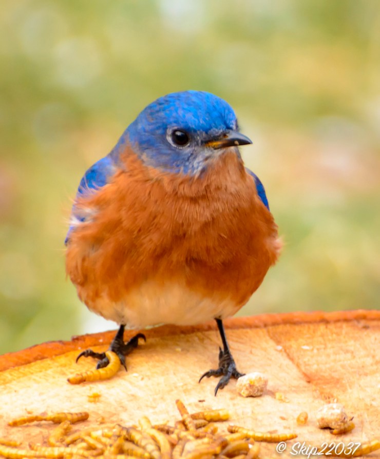 2016_12_31_untitled_untitled-shoot_0041