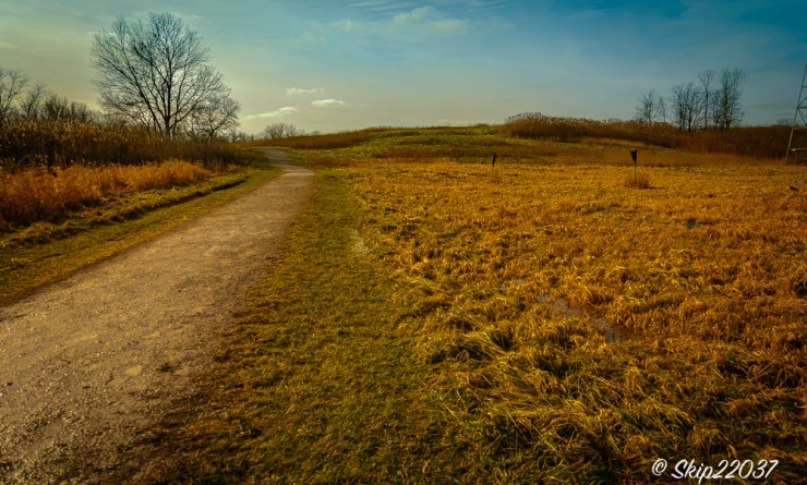 2017_01_13_places-chagrin-river-park_winter-trail-walk_0010