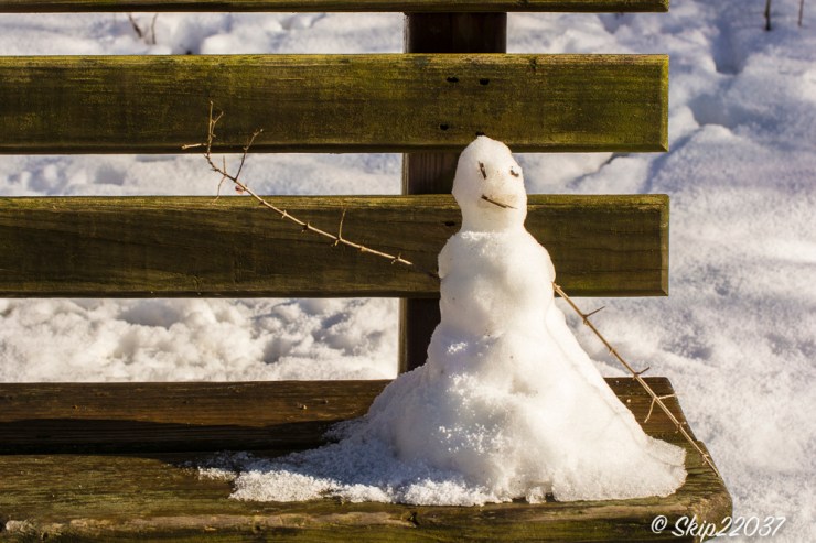 17_february_01_places-chagrin-river-park_winter-trail-walk_-24