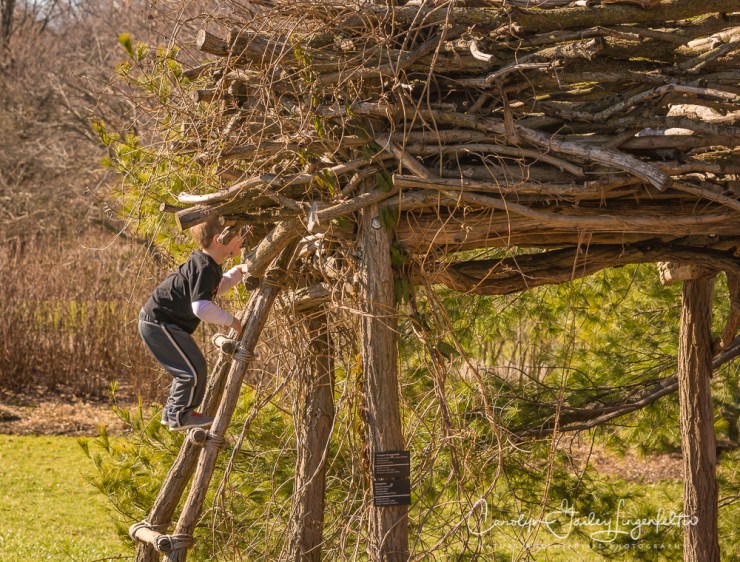 2017_02_18_holden-arboretum_winter-trail-walk_0001