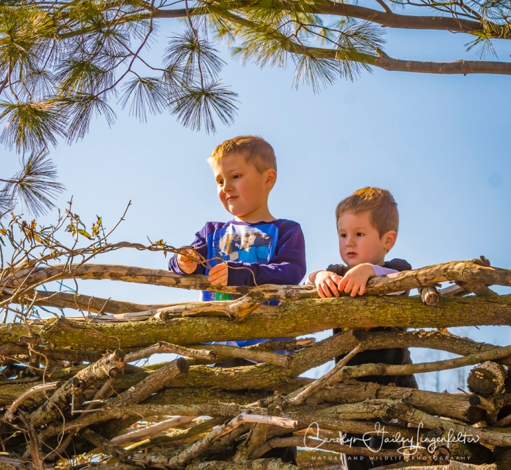 2017_02_18_holden-arboretum_winter-trail-walk_0002