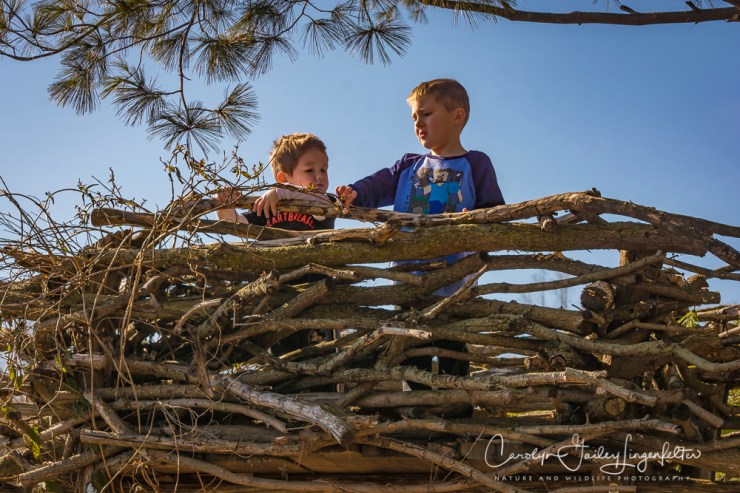 2017_02_18_holden-arboretum_winter-trail-walk_0004
