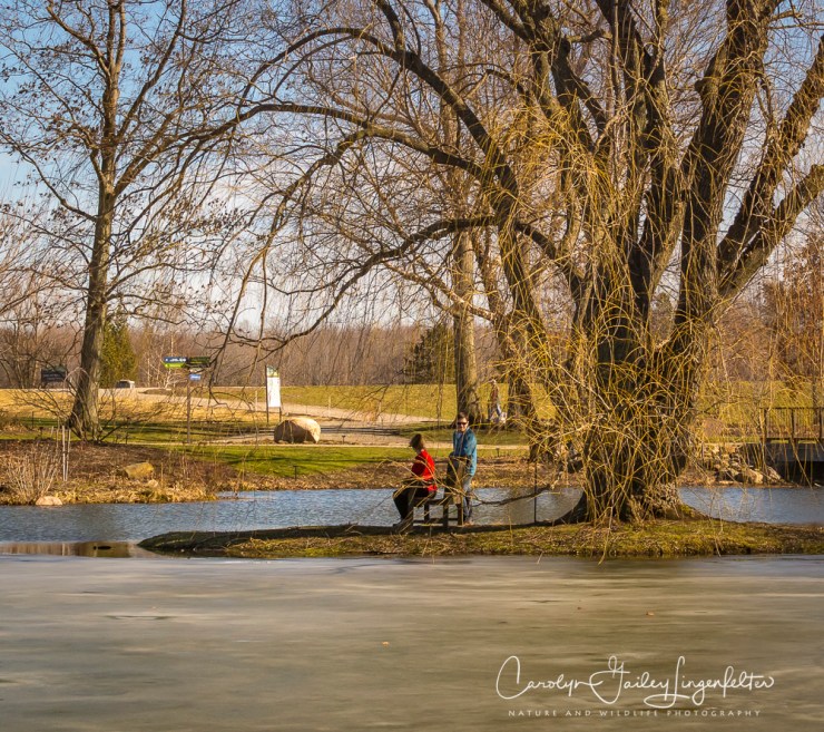2017_02_18_holden-arboretum_winter-trail-walk_0008