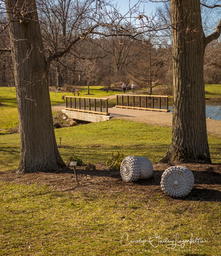 2017_02_18_holden-arboretum_winter-trail-walk_0012