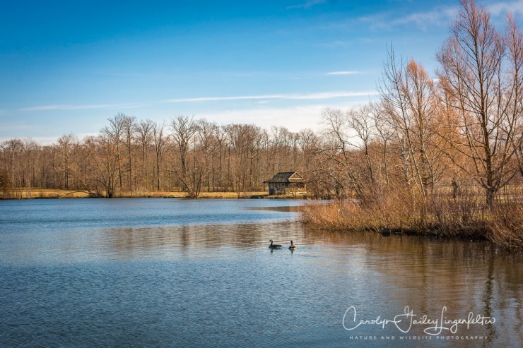 2017_02_18_holden-arboretum_winter-trail-walk_0022