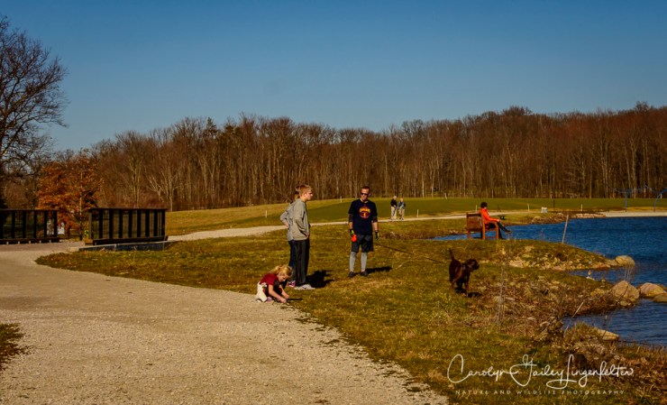 2017_02_18_holden-arboretum_winter-trail-walk_0024