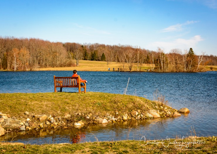 2017_02_18_holden-arboretum_winter-trail-walk_0026