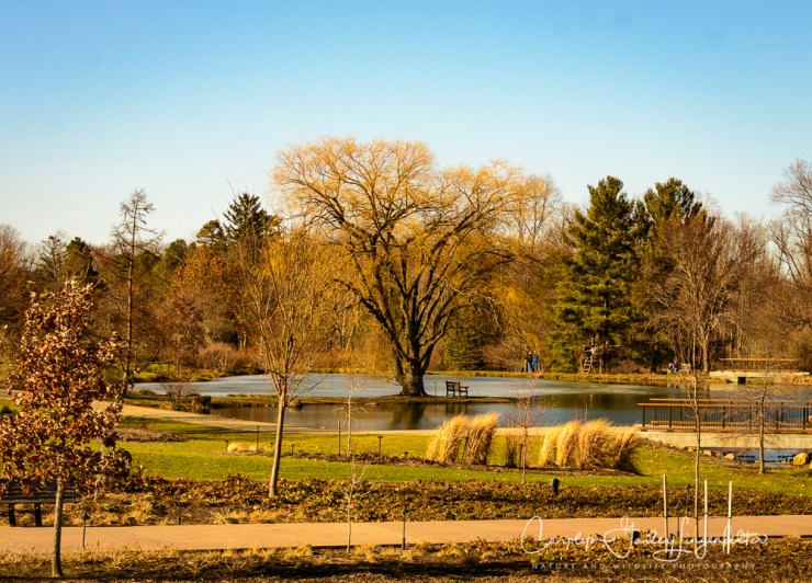 2017_02_18_holden-arboretum_winter-trail-walk_0029