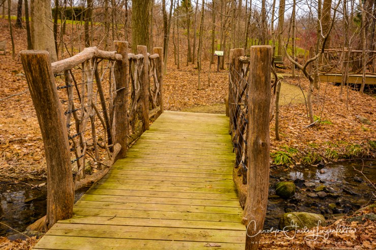 2017_02_21_holden-arboretum_winter-trail-walk_0009