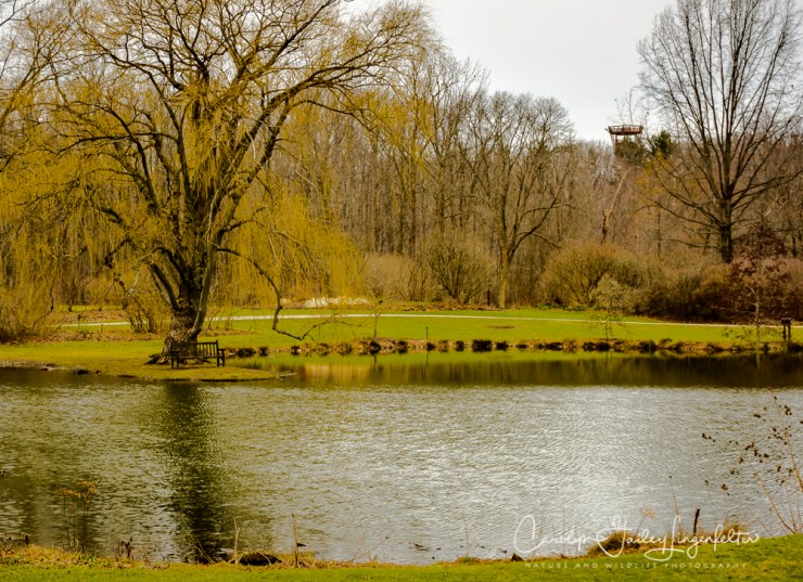 2017_02_21_holden-arboretum_winter-trail-walk_0062