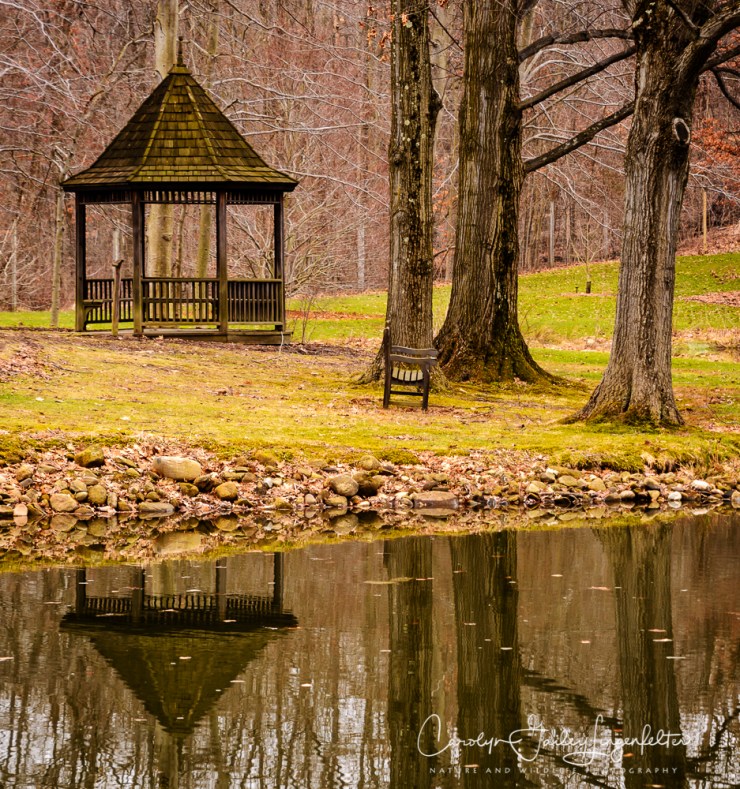 2017_02_21_holden-arboretum_winter-trail-walk_0092-edit