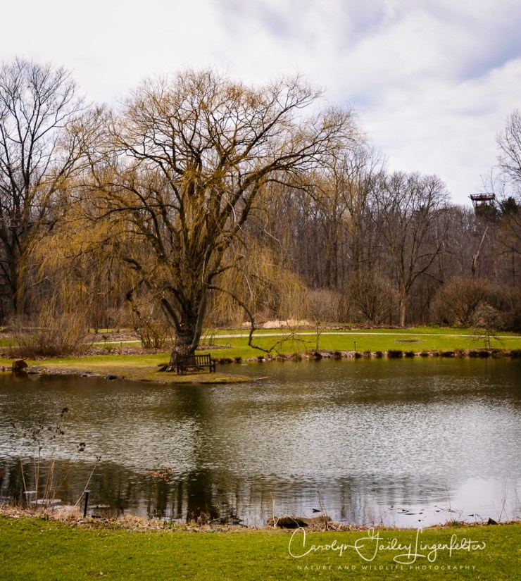 2017_02_21_holden-arboretum_winter-trail-walk_0101