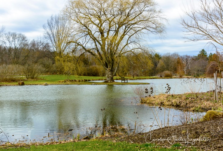 2017_02_28_holden-arboretum_winter-trail-walk_0116-edit