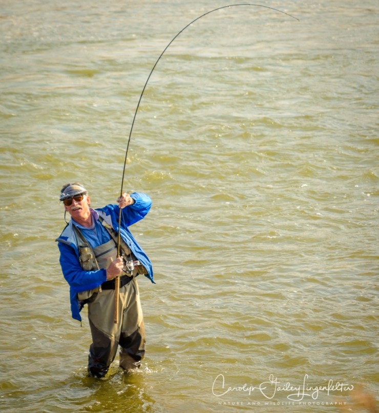 2017_02_23_Places-Chagrin River Park_Winter trail walk_0157