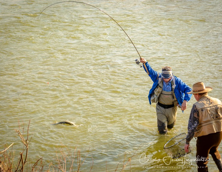 2017_02_23_Places-Chagrin River Park_Winter trail walk_0158