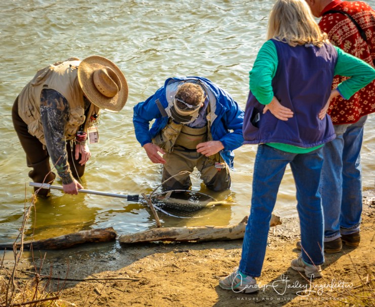 2017_02_23_Places-Chagrin River Park_Winter trail walk_0166