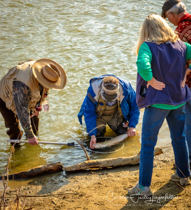 2017_02_23_Places-Chagrin River Park_Winter trail walk_0169