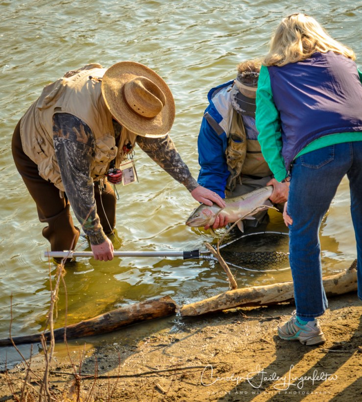 2017_02_23_Places-Chagrin River Park_Winter trail walk_0170