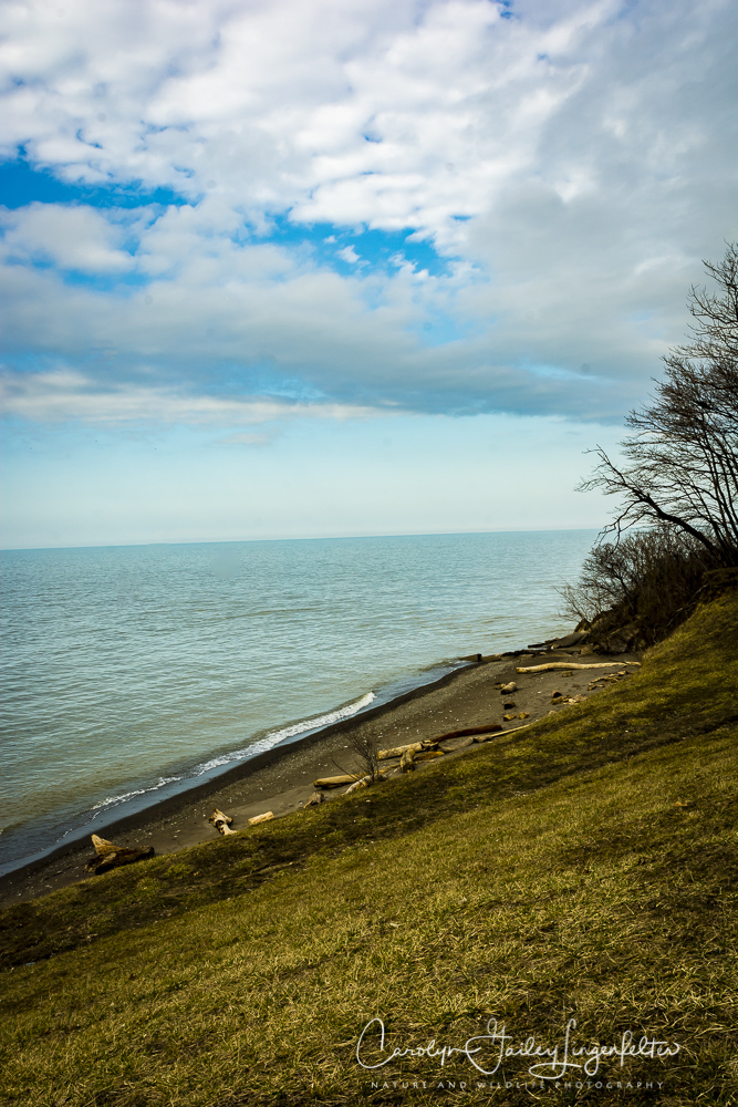 2017_02_27_places_overlook-beach-park_0005