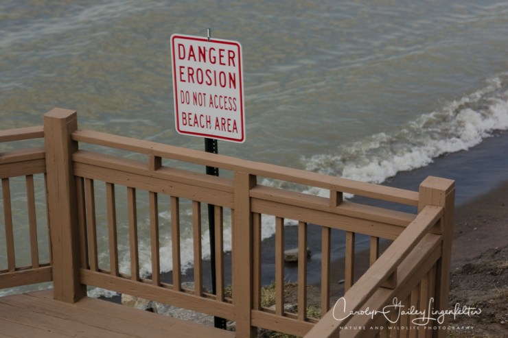 2017_02_27_places_overlook-beach-park_0014