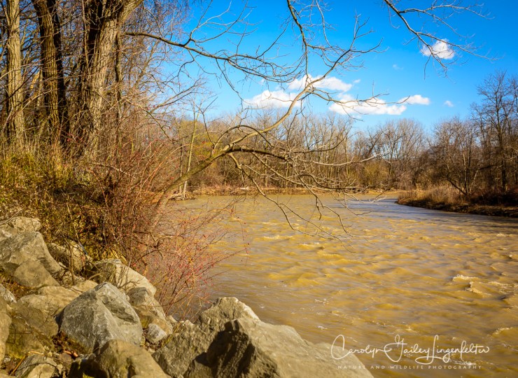 2017_03_08_Places_Chagrin River Park_0019