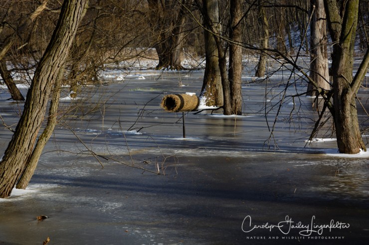 2017_03_15_Places_Chagrin River Park_0088