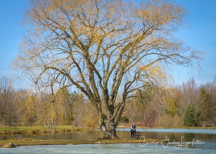 2017_03_21_Holden Arboretum_Early spring trail walk_0005
