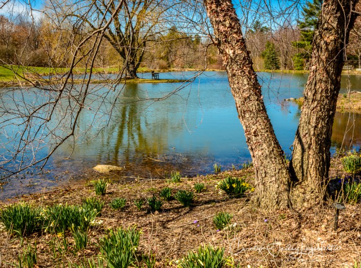 2017_03_29_Holden Arboretum_022
