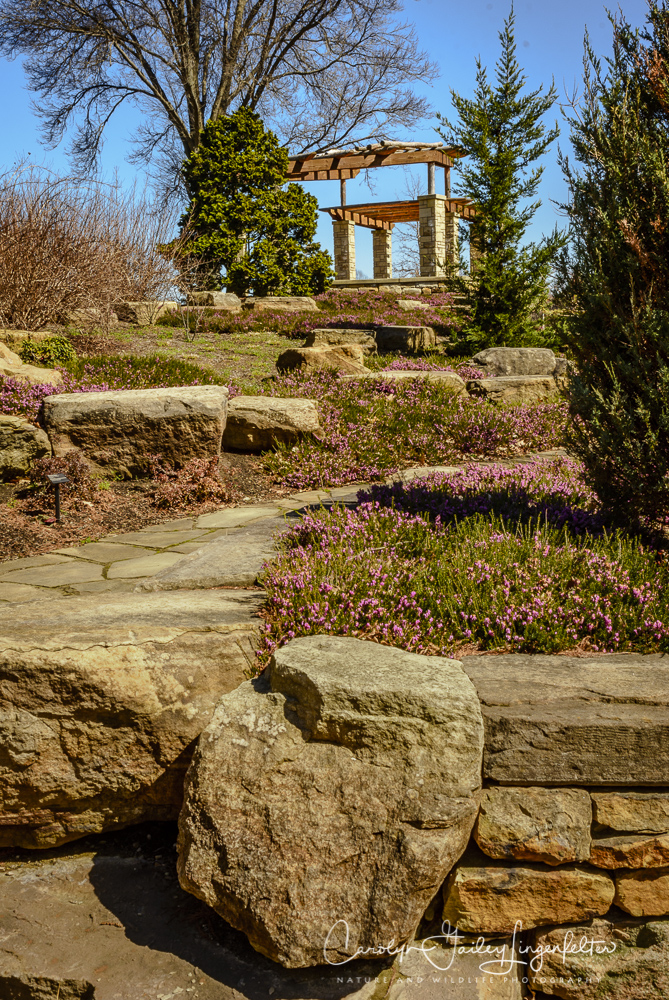 2017_03_29_Holden Arboretum_032