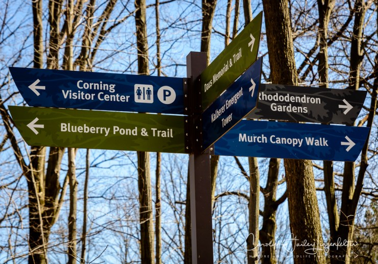 2017_03_29_Holden Arboretum_035