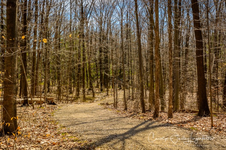 2017_03_29_Holden Arboretum_036