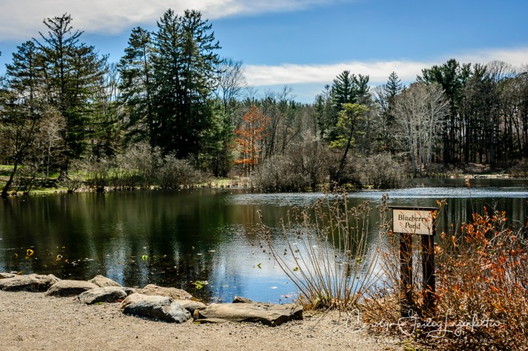2017_03_29_Holden Arboretum_045
