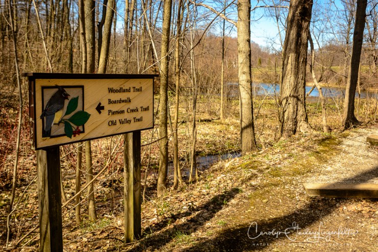 2017_03_29_Holden Arboretum_052