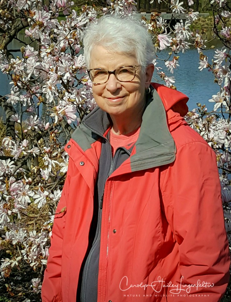 2017_04_14_Places_Holden Arboretum0002